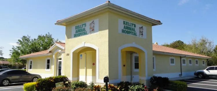 Kelly's Animal Hospital, Florida, Port Saint Lucie